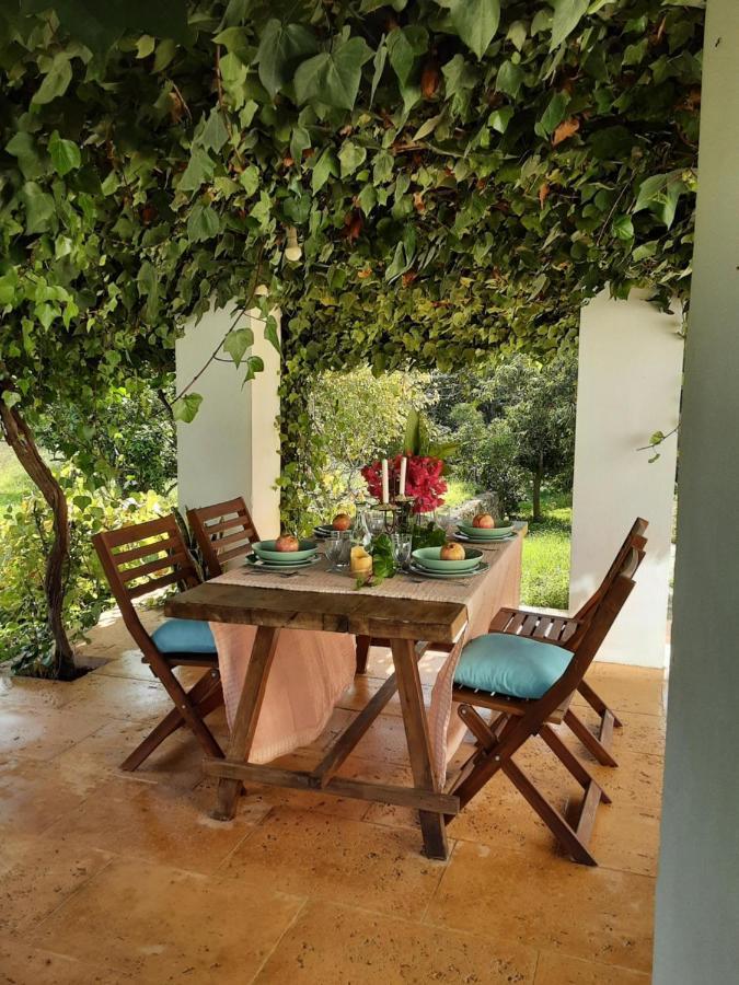 Finca Can Paci Santa Eularia des Riu Exteriér fotografie